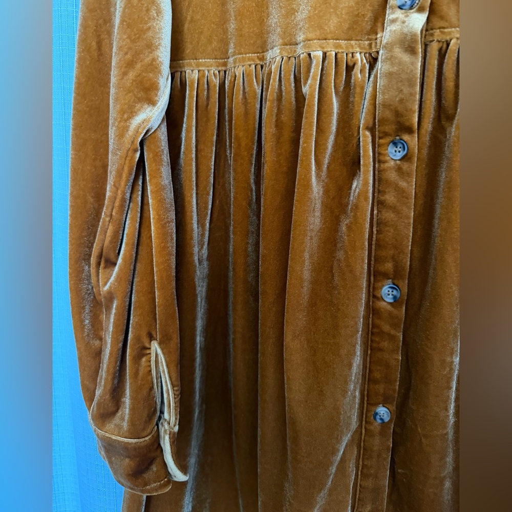 Pinkblush Velvet Long Sleeve Dress - Picture 5 of 8